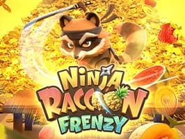 Ninja Raccoon Frenzy game thumbnail